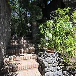 Figaro - Ischia