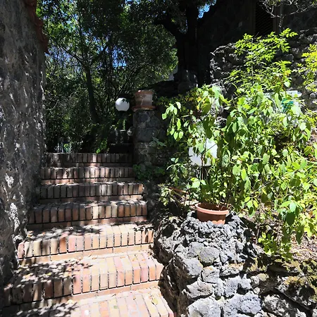 Figaro - Ischia